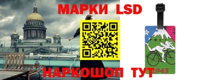 крисы Можга