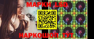 крисы Можга