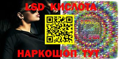 крисы Можга