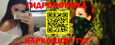 крисы Можга