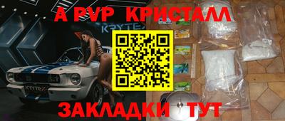 крисы Можга