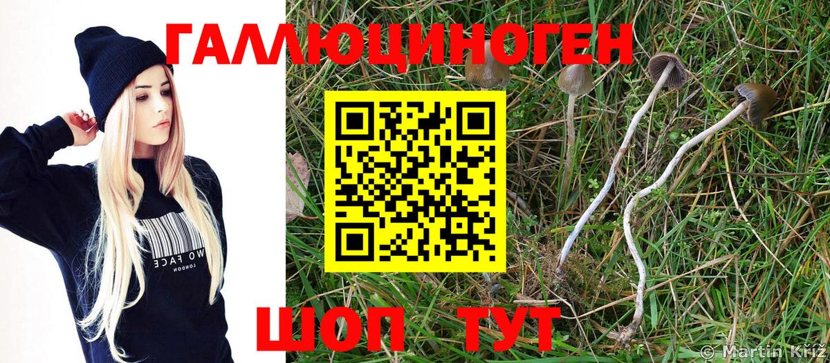 Псилоцибиновые грибы Psilocybe  Вход с VPN  Галлюциногенные грибы мицелий  Троицк 