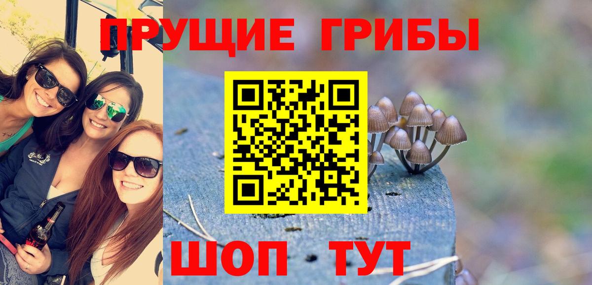 Псилоцибиновые грибы Magic Shrooms Троицк